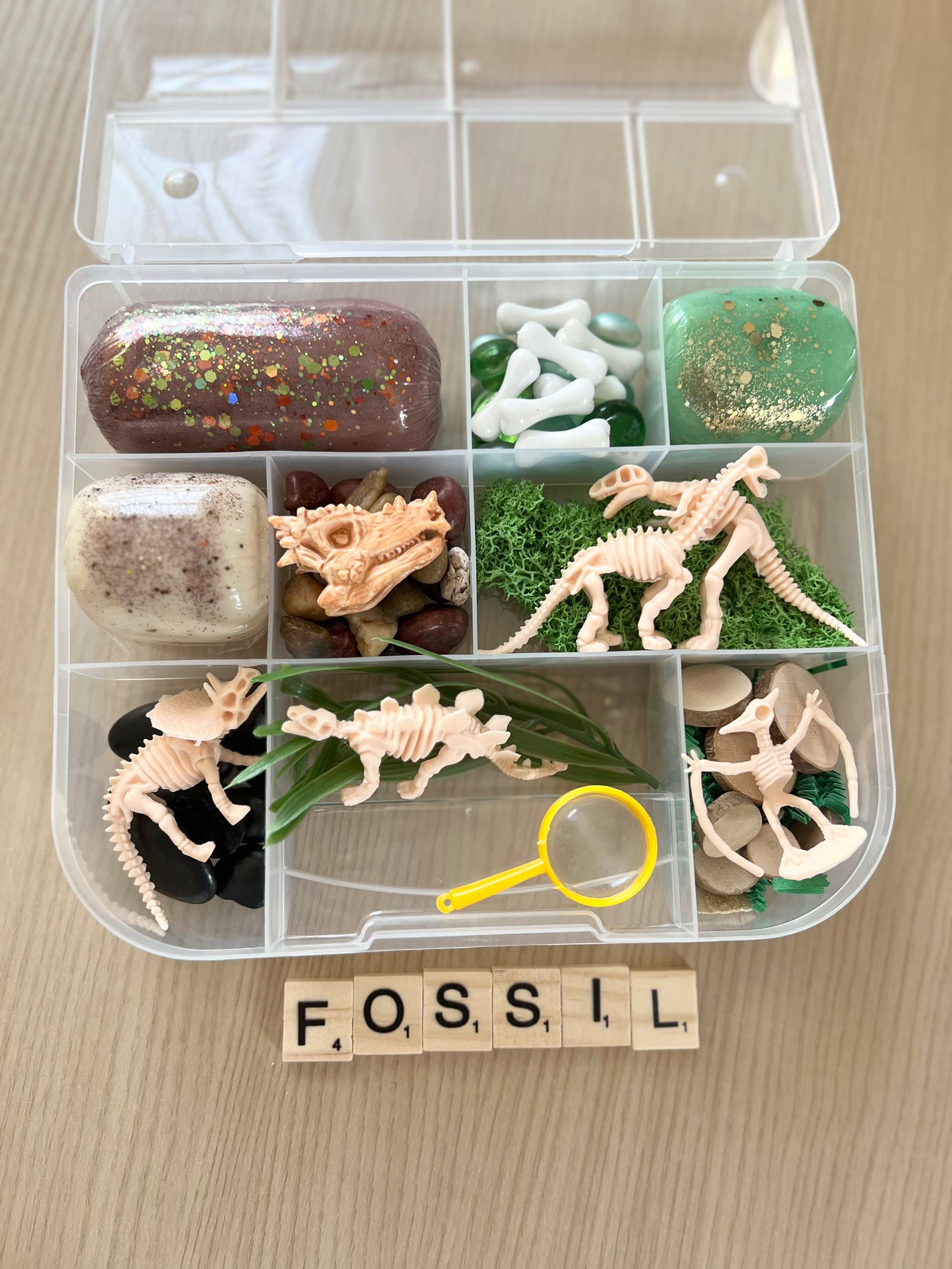 Fossil Playdough Kit
