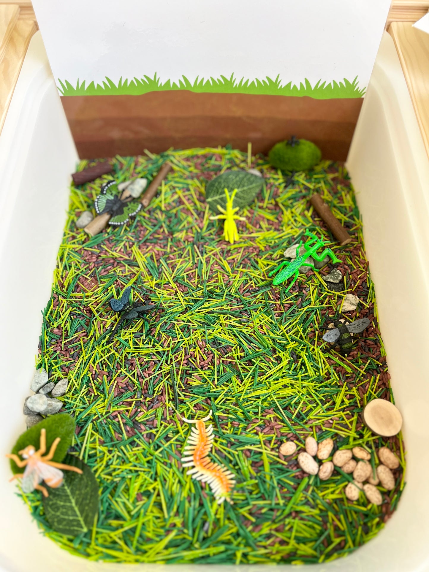 Bug Exploration Sensory Kit