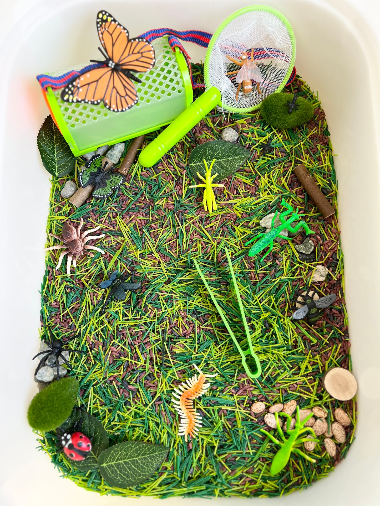 Bug Exploration Sensory Kit