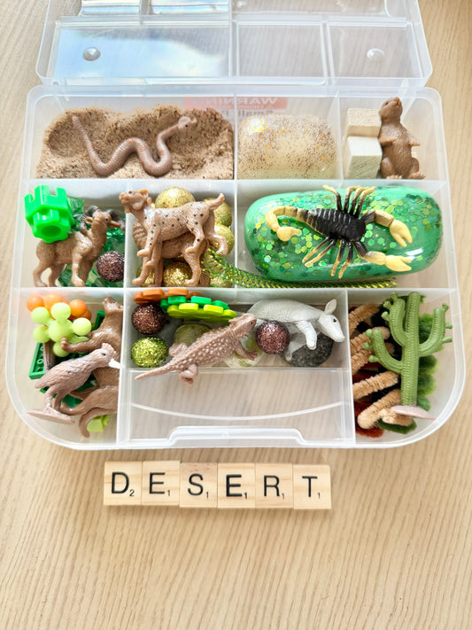 Desert Playdough Kit