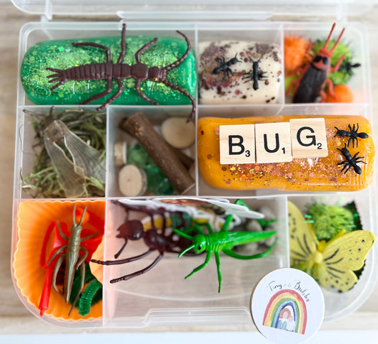 Bug Playdough Kit