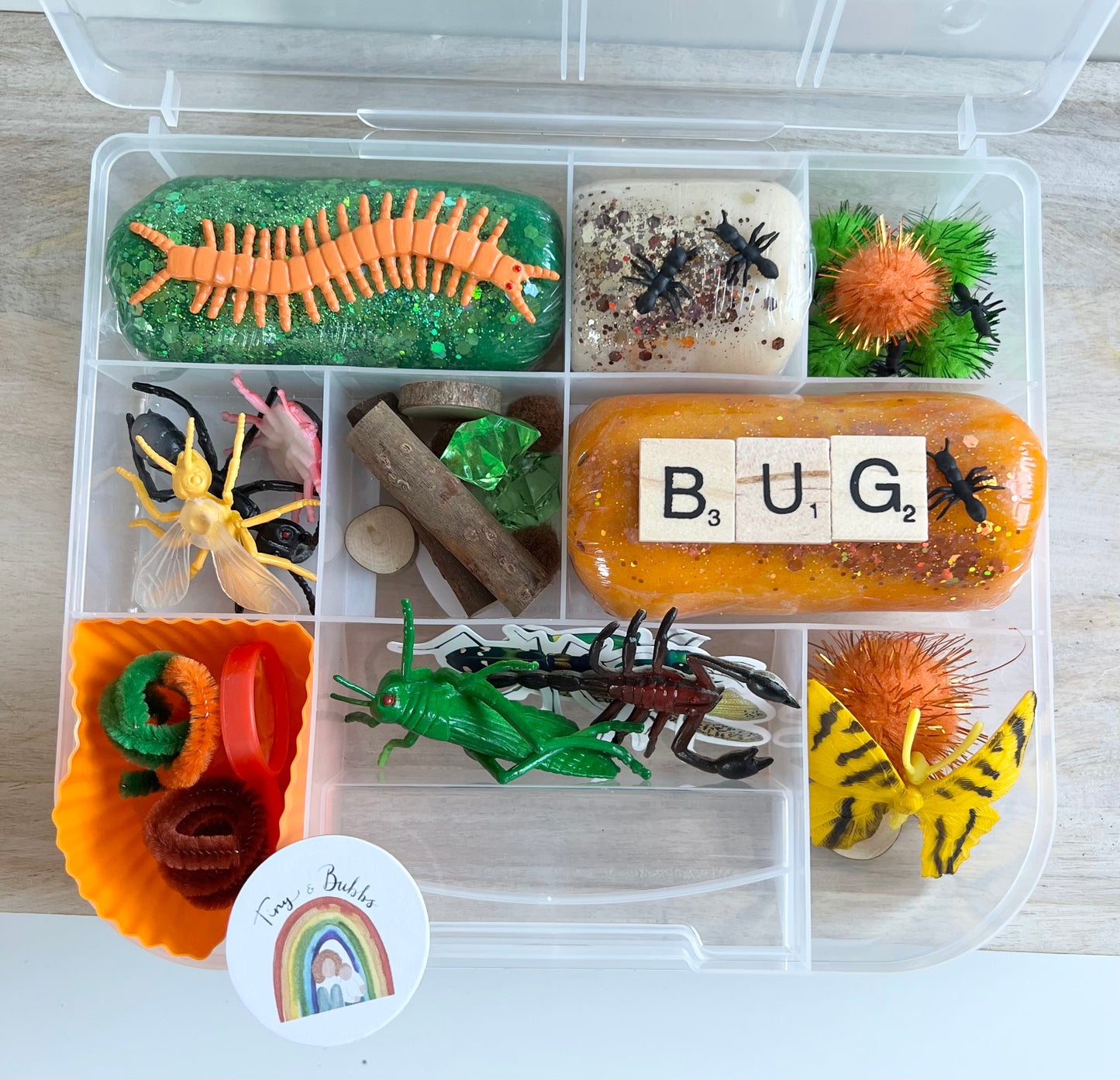 Bug Playdough Kit